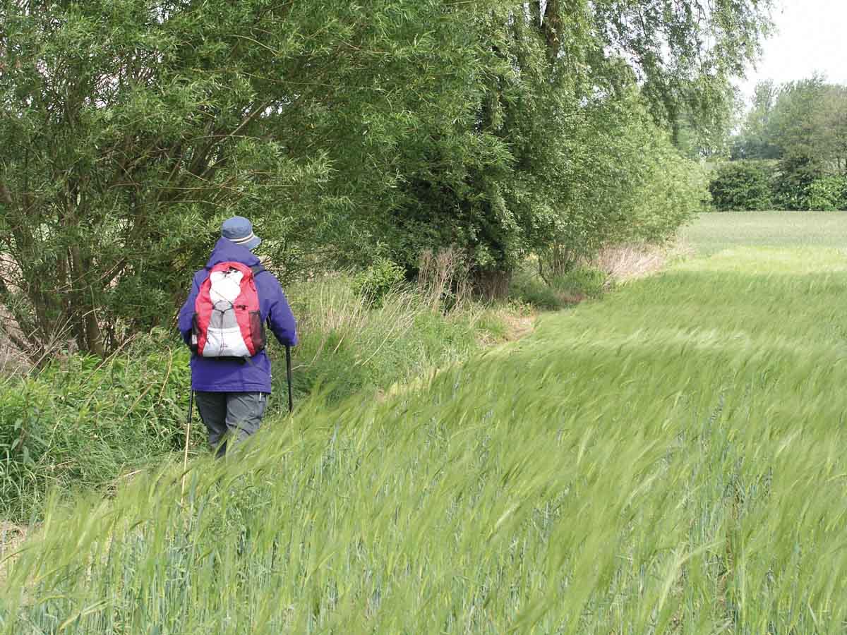Auf Einladung des Fördervereins Jakobsweg Werne e.V. wird die Archäologin Ulrike Steinkrüger das Publikum auf historischen Wegen in eine ganz spezielle Art des Reisens einführen: das Pilgern.