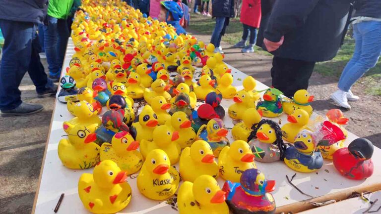 Impressionen vom 1. Entenrennen zum Solebad-Jubiläum in Werne