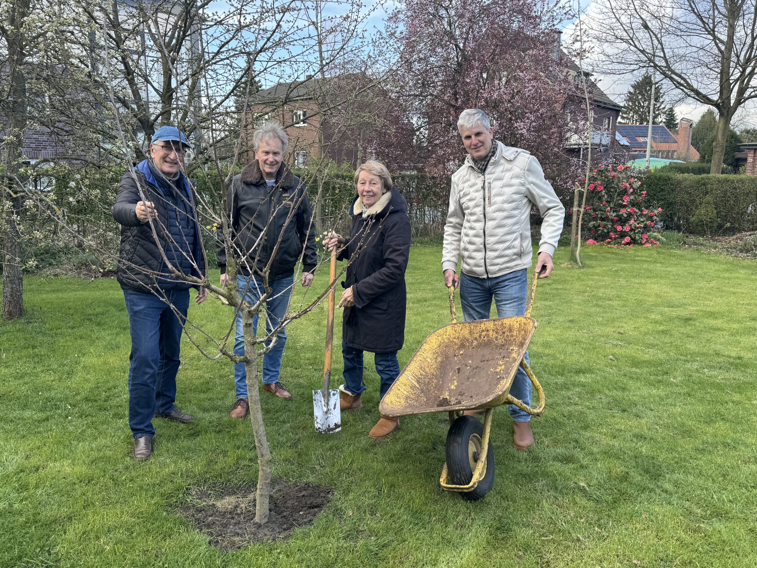 Der Baum ist gut gesetzt: Elisabeth Kramer freute sich über die neue Süßkirsche der BIN in ihrem Obstgarten. BIN-Vorsitzender Werner Thiemann (rechts), Michael Heimken (zweiter von links) und Hubert Kramer halfen beim Einpflanzen mit. Foto: Thomé