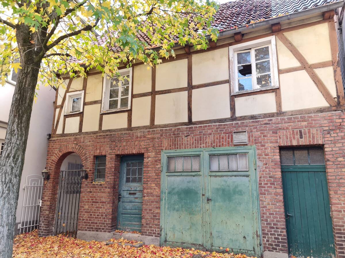 Für den inzwischen gefällten Baum hinter dem Friseursalon Quante wird noch in diesem Frühjahr ein standort- und klimagerechtes Exemplar nachgepflanzt. Foto: Stadt Werne