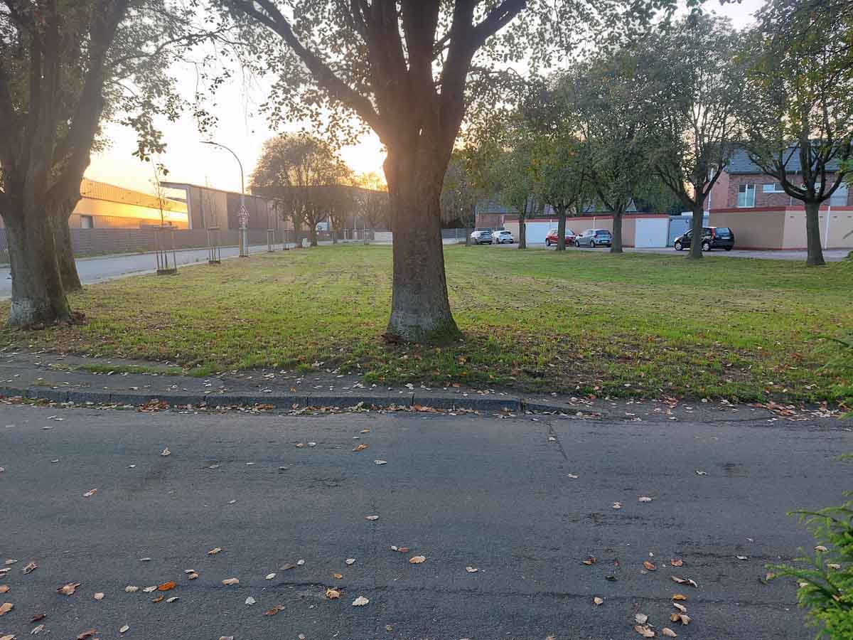 Hier soll ein Parkplatz für die neue Zweifach-Turnhalle an der Klöckner Straße/Waldstraße/Stollenweg entstehen. Foto: Wagner