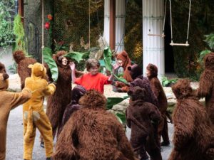 Gelungene Premiere: Die Freilichtbühne Werne präsentiert "Das Dschungelbuch". In dieser Szene kidnappen die Affen Mogli. Fotos: Anke Barbara Schwarze