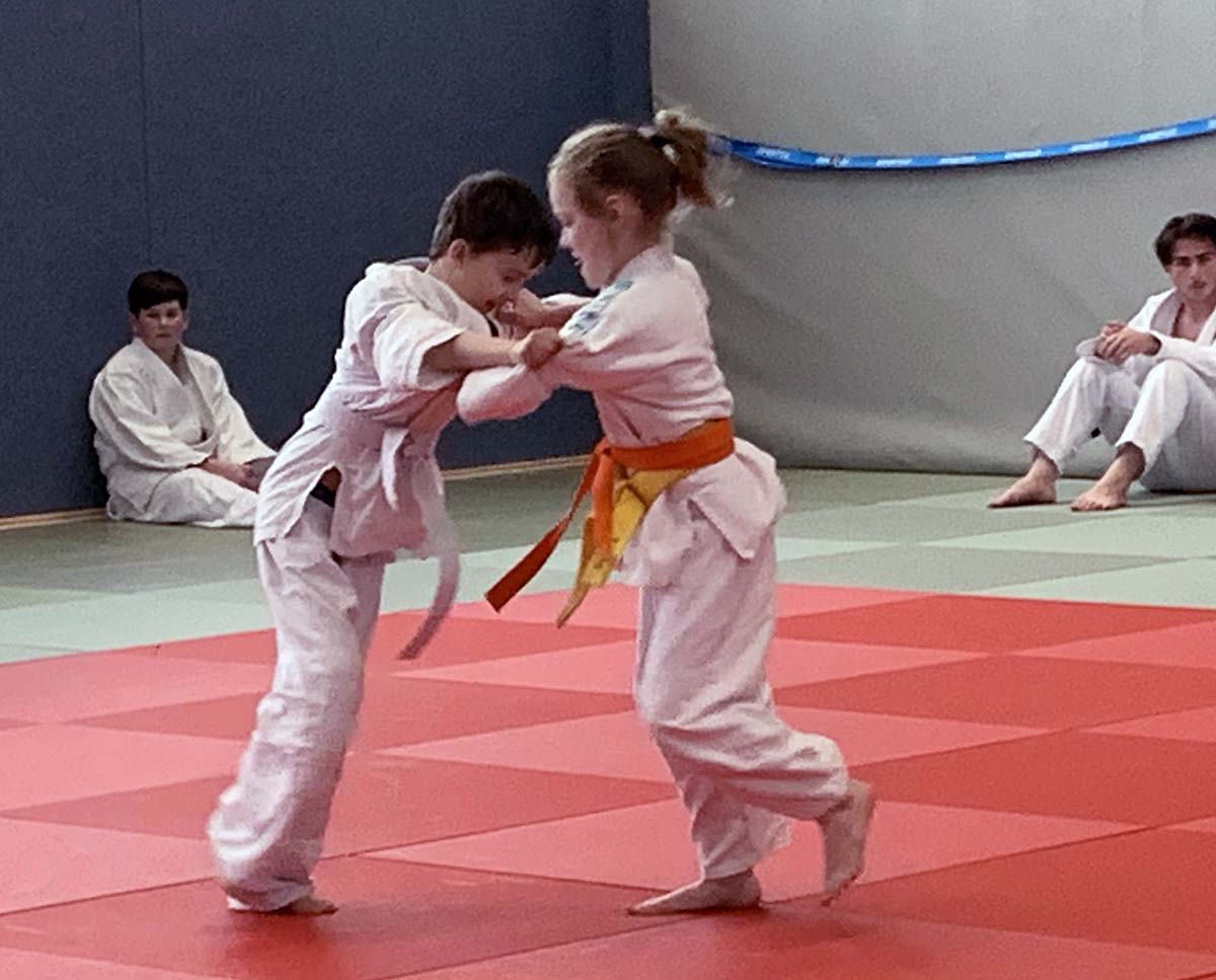 200 Kämpfe lieferten sich die Nachwuchs-Judoka auf der Matte in der Turnhalle an der Horster Straße. Foto: privat