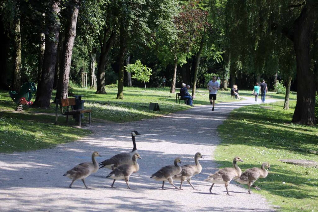 Stadtlauf Werne 2024 - Foto: Wagner