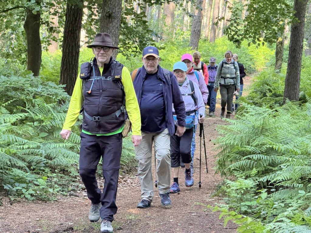 Durch Wald und Feld führte der Westfälische Jakobsweg die Werner Gruppe. Hier ein Schnappsachuss, der in der Nähe Leeden entstand. Foto: Kramer