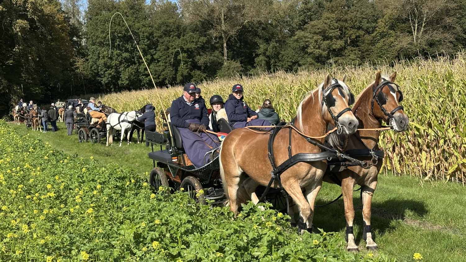 Die traditionelle Herbstausfahrt des Westfälischen Haflingervereins e.V. fand Anfang Oktober statt. Foto: privat
