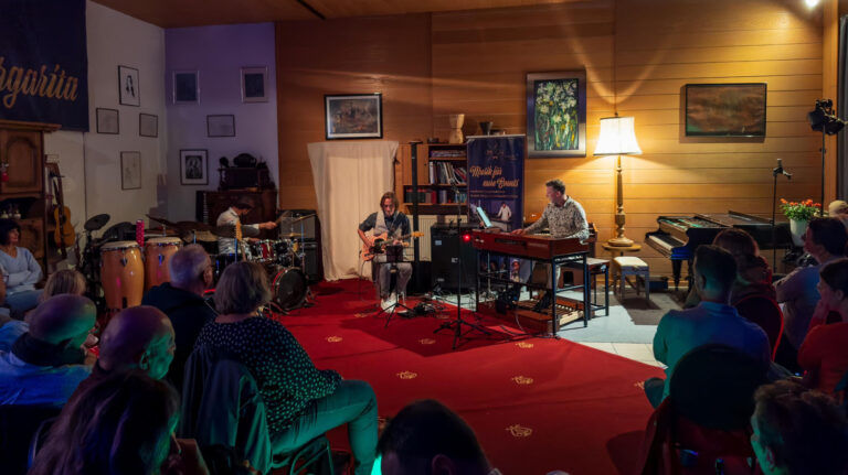 Das "Trio Timavibes" begeisterte im Musiksalon und holte auch junge Talente auf die Bühne. Foto: privat