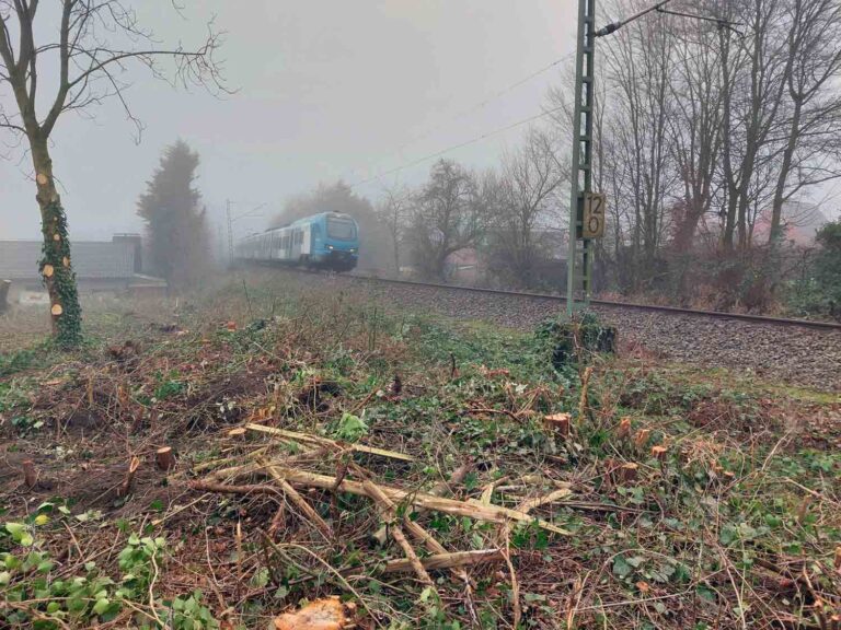 Am Brinkhof fand Anfang des Jahres ein Kahlschlag durch den KBW statt, der für Empörung bei den Anwohnern geführt hatte. Inzwischen grünt es wieder und der Zaun zu den Gleisen ist errichtet. Archivfoto: Wagner