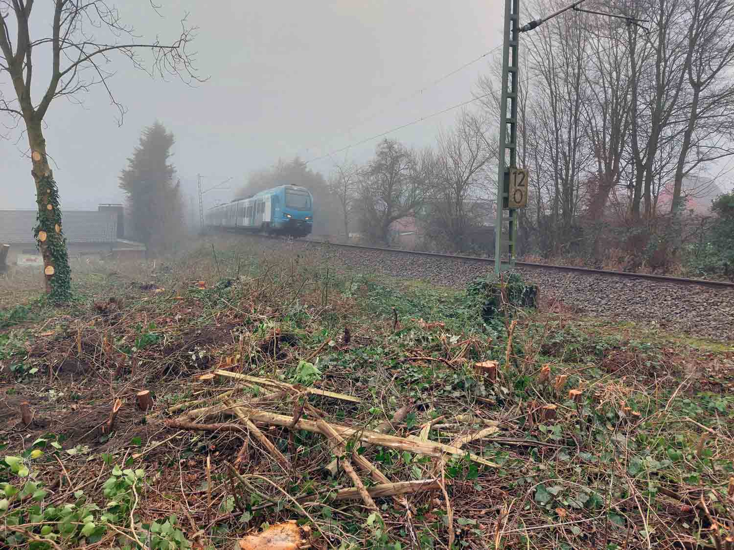 Am Brinkhof fand Anfang des Jahres ein Kahlschlag durch den KBW statt, der für Empörung bei den Anwohnern geführt hatte. Inzwischen grünt es wieder und der Zaun zu den Gleisen ist errichtet. Archivfoto: Wagner