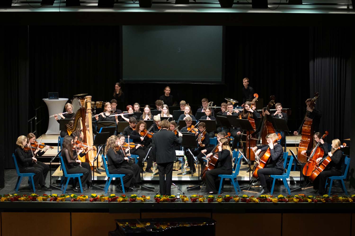 Im gesamten Musikschulkreis finden insgesamt fünf Neujahrskonzerte mit unterschiedlichem Programm statt - Sonntag ist der Kolpingsaal in Werne der Austragungsort. Foto: privat