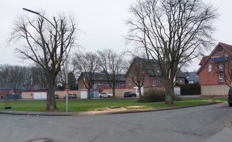 An der Klöcknerstraße/ Waldstraße sind die ersten von sieben Bäumen der Art "Mehlbeere" wegen massiven Pilzbefalls gefällt worden. Foto: Wagner
