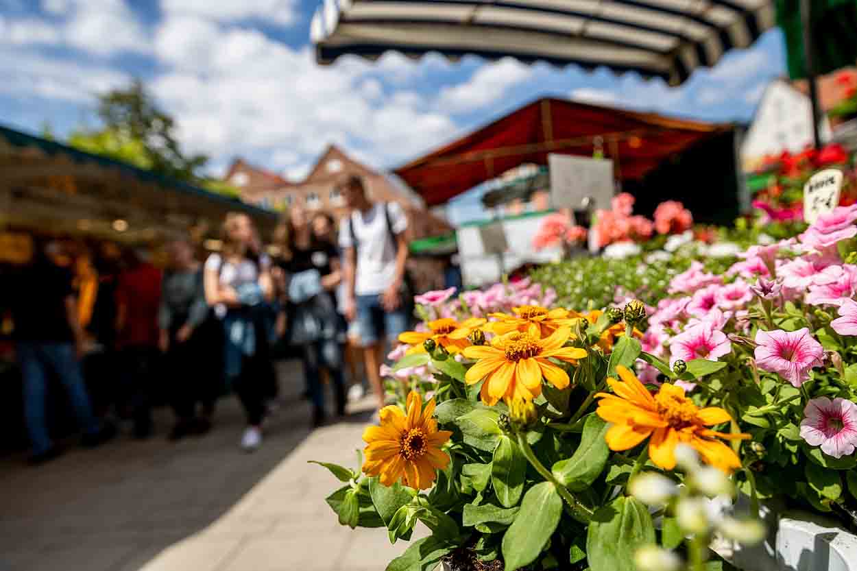 Die Bauernmarkt-Saison startet am 3. Mai in Lüdinghausen. Fotos: Lüdinghausen Marketing