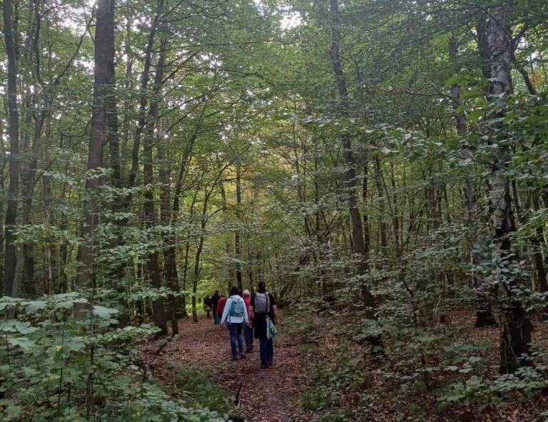 Die Teilnehmenden wandern auf einem Teil des Jakobsweges zwischen Werne und Cappenberg. Foto: privat
