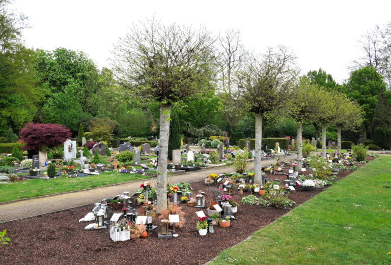 Urnengräber unter Bäumen sind wie hier auf dem Hauptteil des Katholischen Friedhofes die Bestattungsform der Wahl. Foto: Gaby Brüggemann