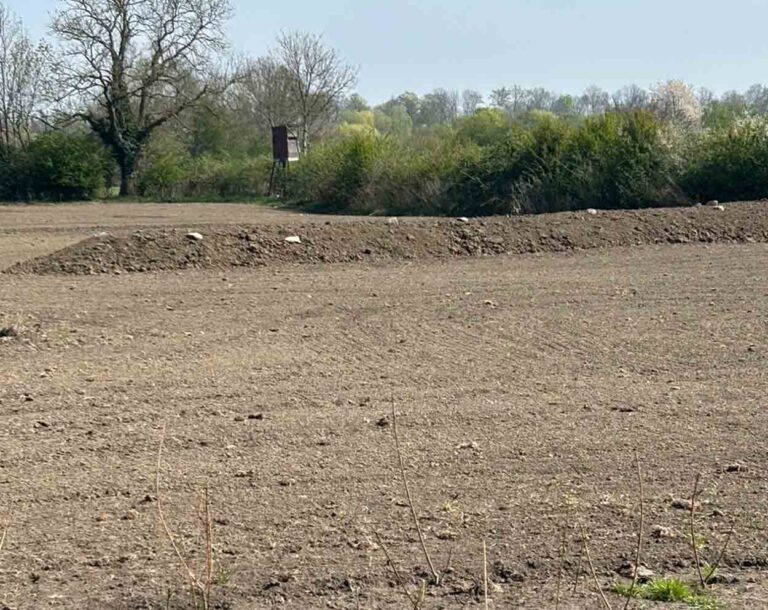 Südlich der Firma Hörmann nahe der Lippe entsteht ein Biotop für Vogelarten. Die Fotos wurden direkt nach der Aussaat aufgenommen – die Fläche wird in den kommenden Tagen und Wochen natürlich noch deutlich grüner und lebendiger wirken, teilt der Projektentwickler mit. Fotos: SW GmbH