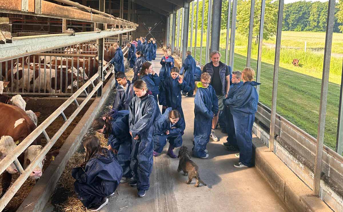 Interessierte Einblicke: Die Schülerinnen und Schüler des Gymnasiums St. Christophorus im Mastbullen-Stall in Ehringhausen. Fotos: Landw. Ortsverein Werne