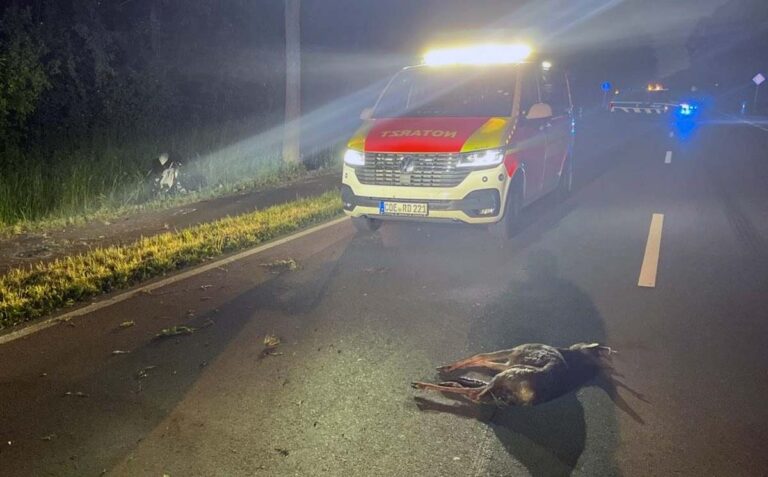 Ein Motorradfahrer aus Werne kollidierte mit einem Reh. Für das Tier kam jede Hilfe zu spät, der Mann musste verletzt ins Krankenhaus. Foto: Polizei Coestfeld
