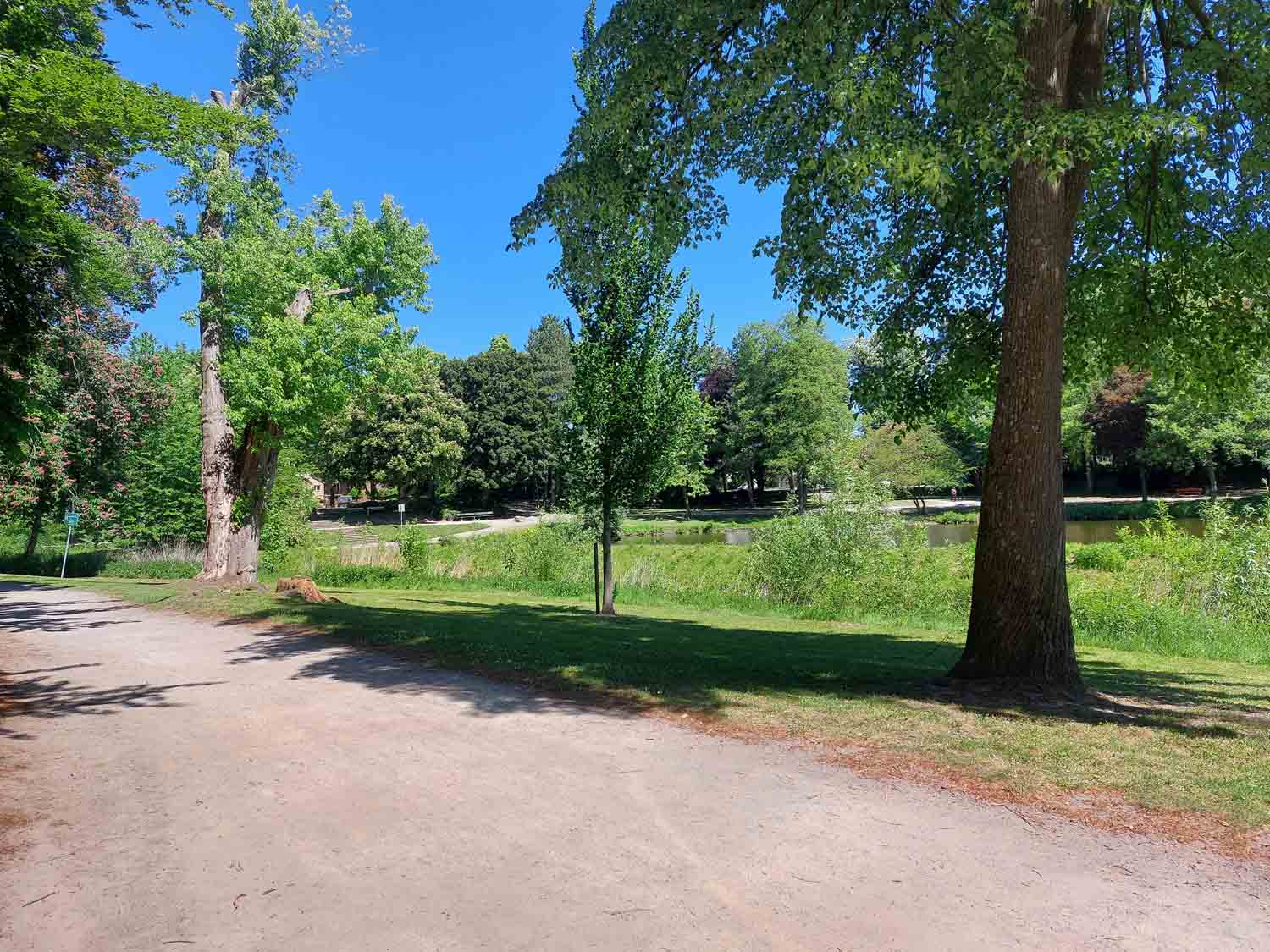 Spaziergänge am Stadtsee könnten bei der Gruppe auf dem Programm stehen. Symbolbild: Wagner