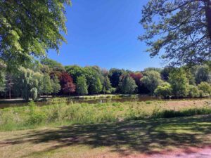 Am Stadtsee herrscht vermutlich Blaualgengefahr. Der KBW rät auf Hinweisschildern, den Kontakt mit dem Seewasser zu vermeiden. Foto: Wagner