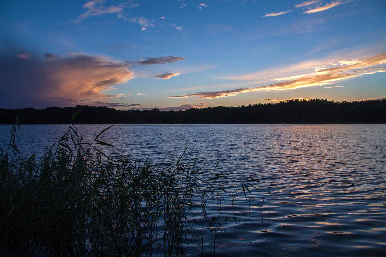 Die Senioren-Union plant eine mehrtägige Reise an die Müritz. Symbolbild: pixabay