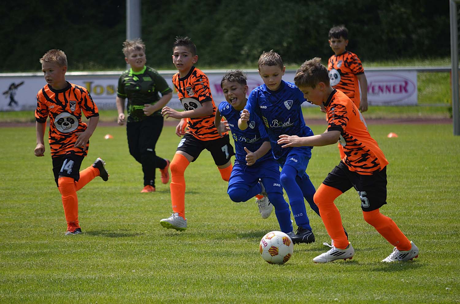 Beim Eintracht-Jugendtag präsentierten sich die Nachwuchsteams der Evenkämper. Fotos: Verein