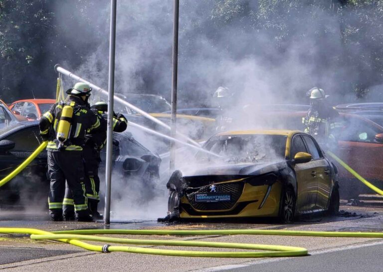 Die Feuerwehr wurde zu brennenden PKW an der Lünener Straße in Werne gerufen. Fotos: FFW
