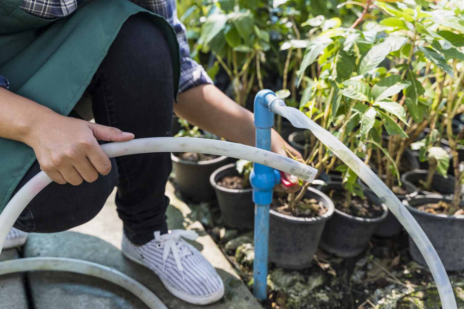 Eine Gartenpumpe ist an heißen Tagen ein willkommene Unterstützung. Foto: freepik