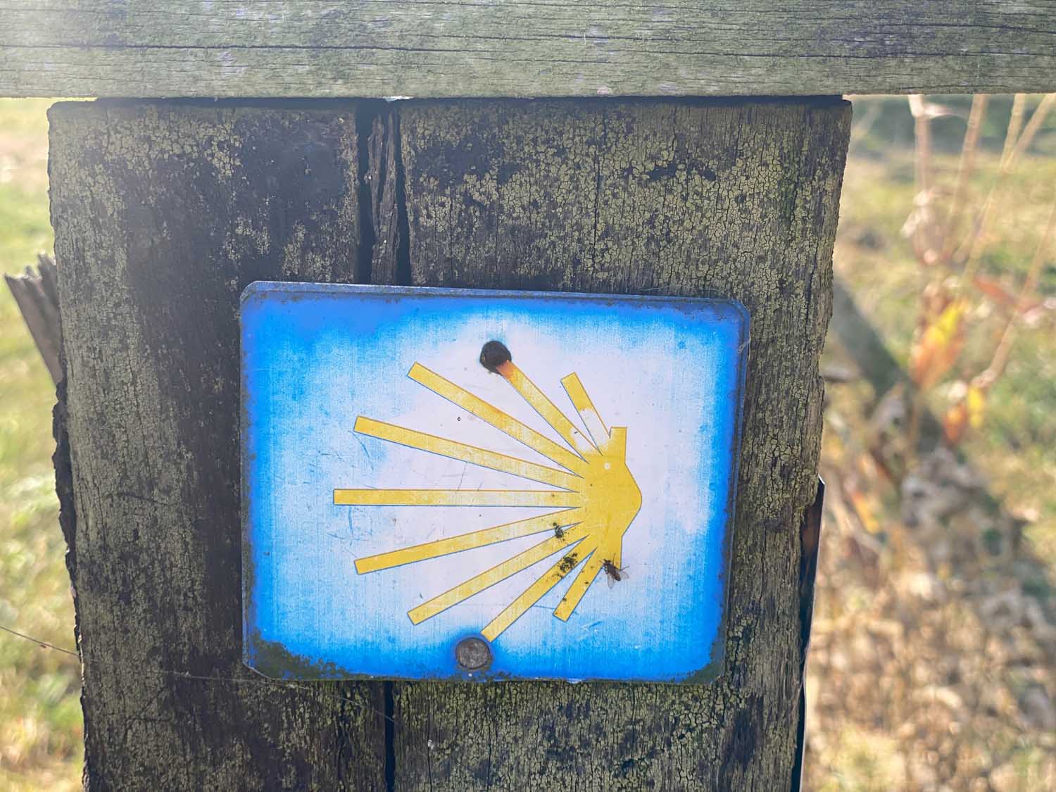 Der Förderverein Jakobsweg lädt zum nächsten Pilgern ein - Ziel ist diesmal die Rochus-Kapelle. Foto: Verein