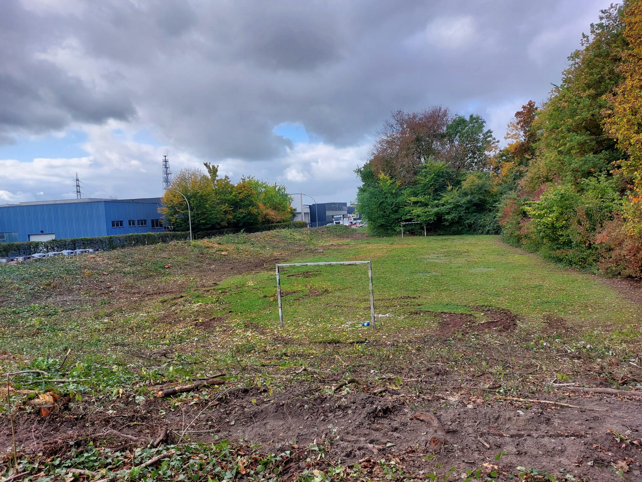 Mit Rodungen und dem Rückbau der Wallanlage wird der Neubau der Doppel-Turnhalle an der Klöcknerstraße vorbereitet. Foto: Wagner