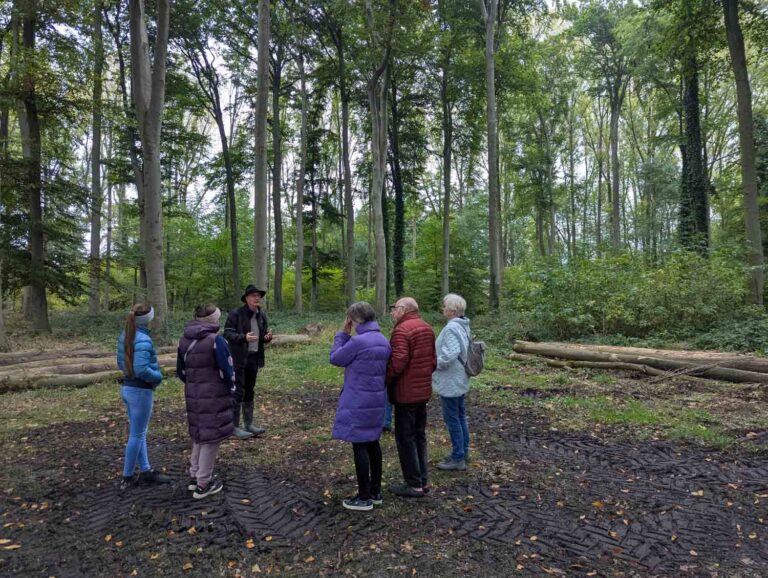 Matthias Möllenhoff nahm die KAB-Mitglieder mit auf einen informativen Spaziergang durch den Wald. Foto: privat
