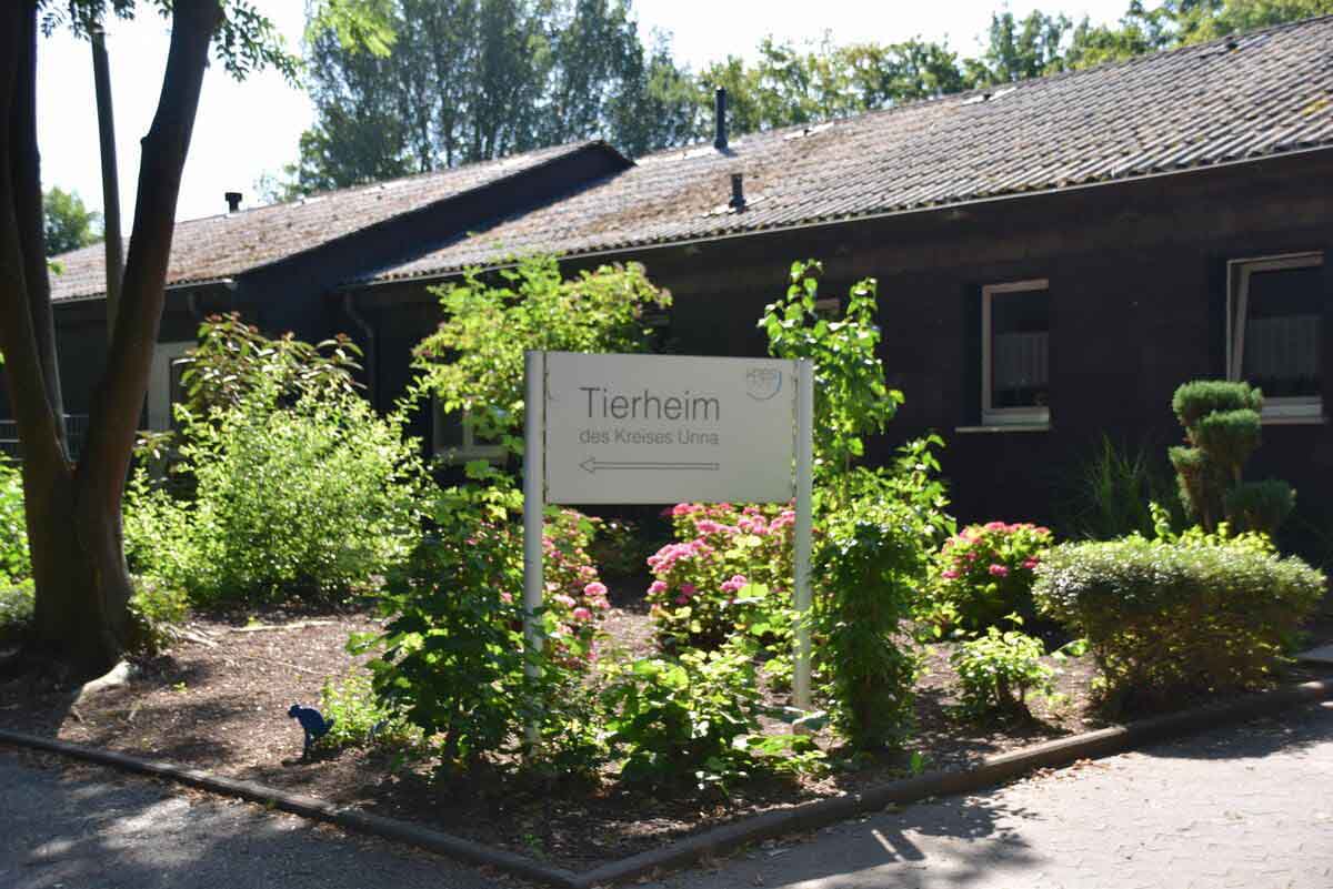 Das Tierheim des Kreises Unna. Foto: Kreis Unna/Fabiana Regino