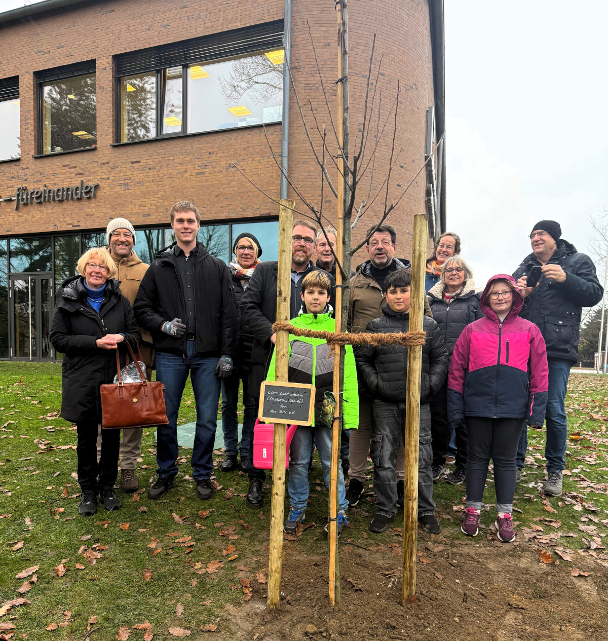 Eine Esskastanie wächst ab sofort vor der Marga-Spiegel-Sekundarschule. Gestiftet wurde der Klimabaum von der Bürgerinitiative Industriegebiet Nordlippestraße e.V.. Foto: Marga-Spiegel-Schule