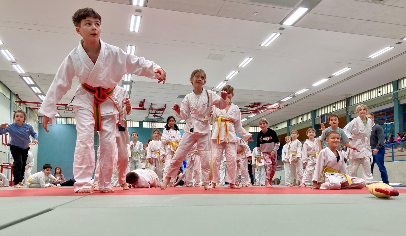 Die Judosafari des TV Werne in der Ballspielhalle bot den Teilnehmenden viel Abwechslung. Foto: Verein