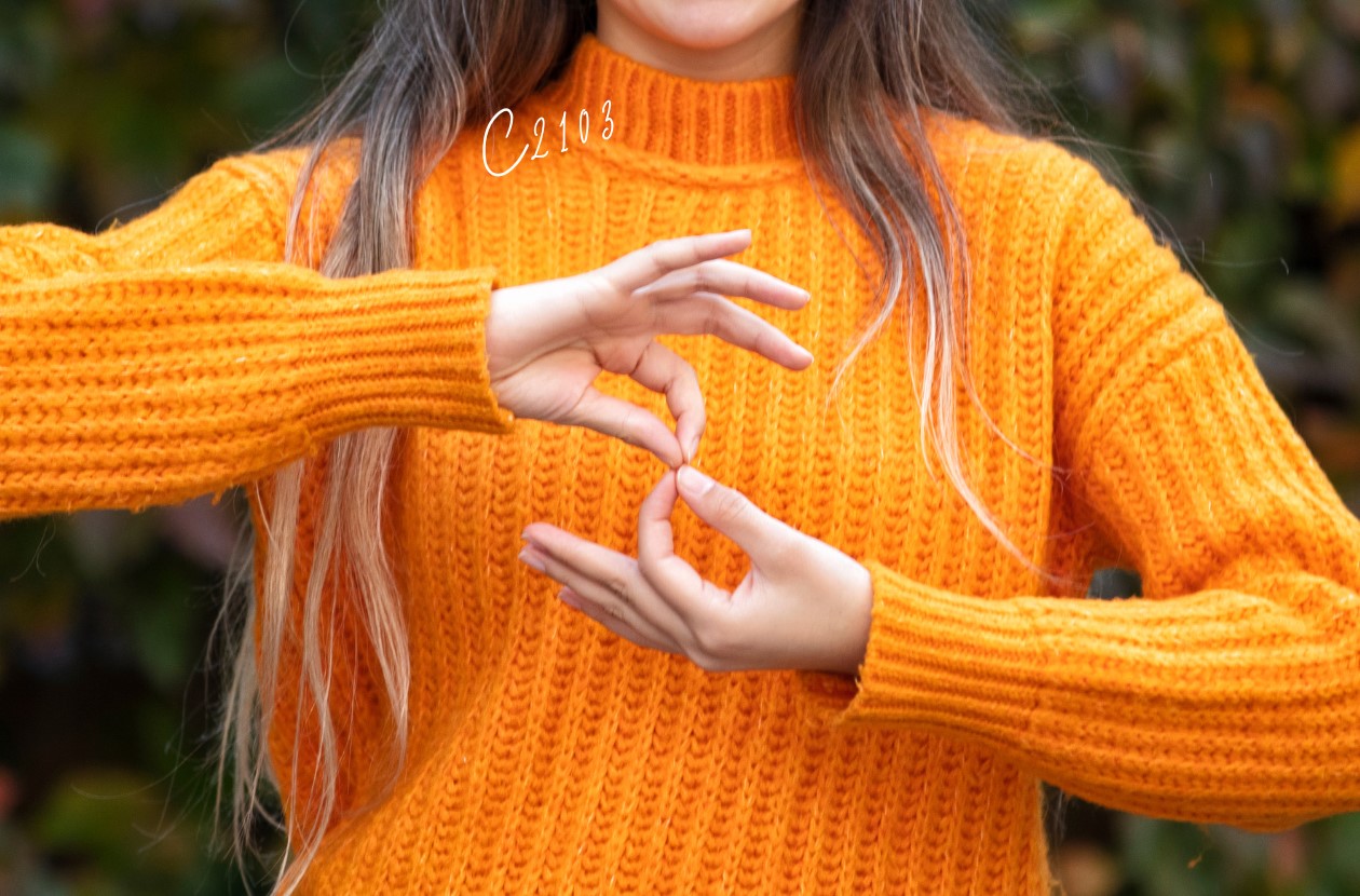 Informationen zur Deutschen Gebärdensprache gibt es bei der VHS Werne. ©CanvaPro