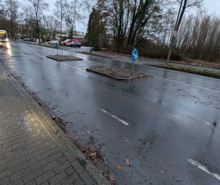 Verblasste Straßen-Markierungen waren Thema im Ausschuss für Umwelt und Verkehr. Foto: privat