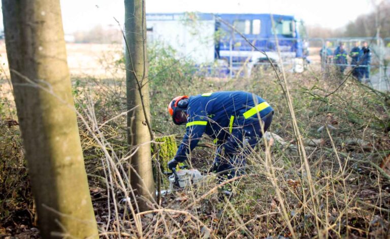 Baumschnitt- und Fällarbeiten auf der Halde für den Surfpark sind als Ausbildungsmaßnahme mit dem THW Werne umgesetzt worden. Foto: SW GmbH