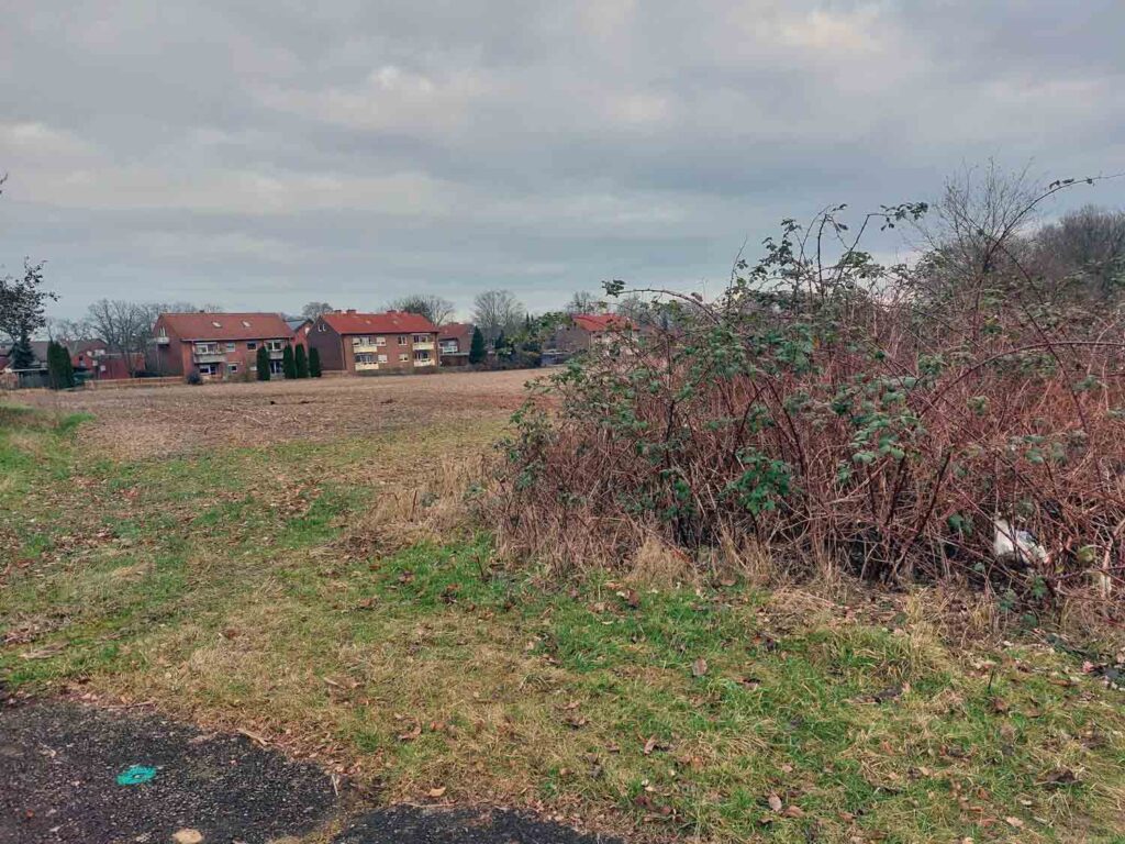 Die "Werthwiese" soll zu Bauland entwickelt werden. Im Hintergrund ist die Bebauung am Hugenpoth zu sehen. Fotos: Wagner