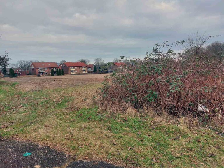 Die "Werthwiese" soll zu Bauland entwickelt werden. Im Hintergrund ist die Bebauung am Hugenpoth zu sehen. Fotos: Wagner