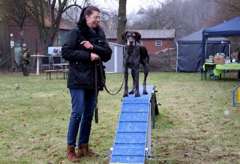 Hunde erobern erstmals ihre Wiese: Neues Angebot in Werne ist gestartet