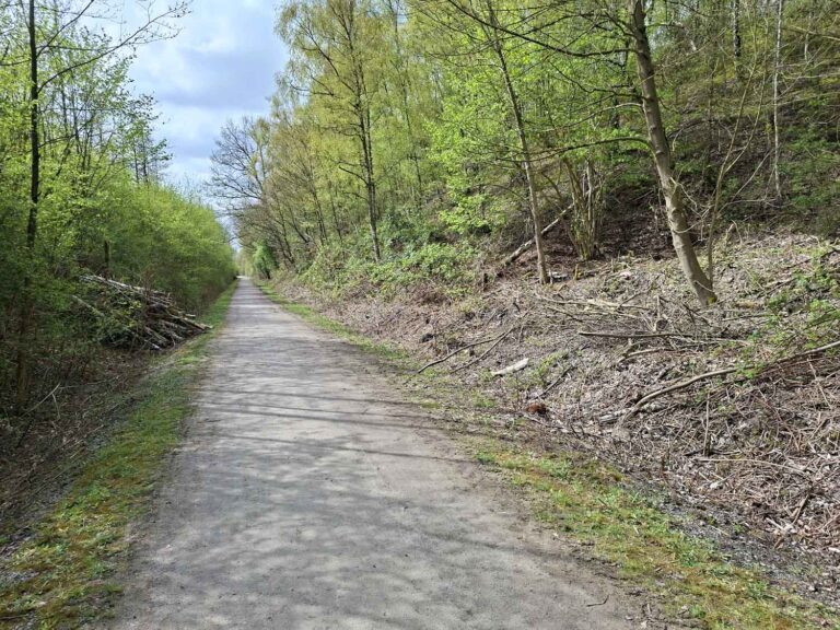 Auf dem Radweg, rund 100 Meter Luftlinie von der Lippe entfernt, fanden Radfahrer das verunglückte Mädchen. Foto: Wagner