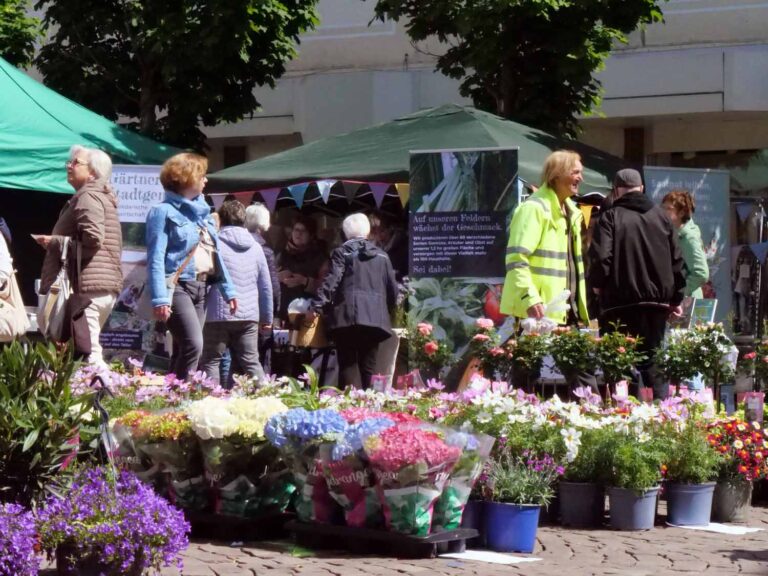 Auch wenn es nun Mai-Markt heißt: Wie immer sind Blumen und Spargel im Angebot. Foto: Schwarze