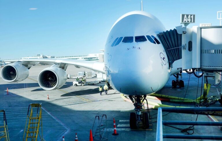 Zoll am Flughafen Düsseldorf findet bei Frau aus Werne zerteilte Schlangen