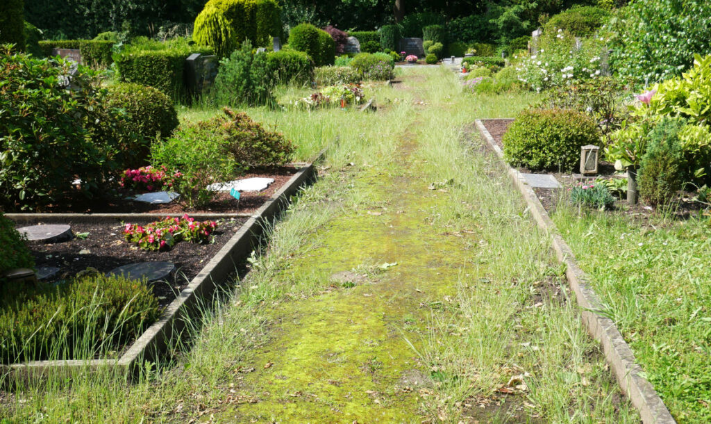 Gras und Moos breiten sich speziell auf den Nebenwegen massiv aus.