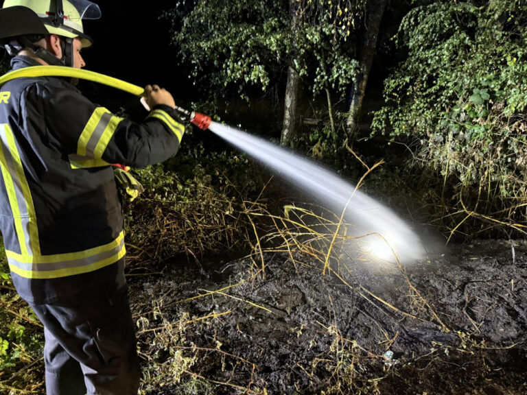 Böschungsbrand in Werne-Holthausen  Appell: Keine offenen Feuer in der Natur