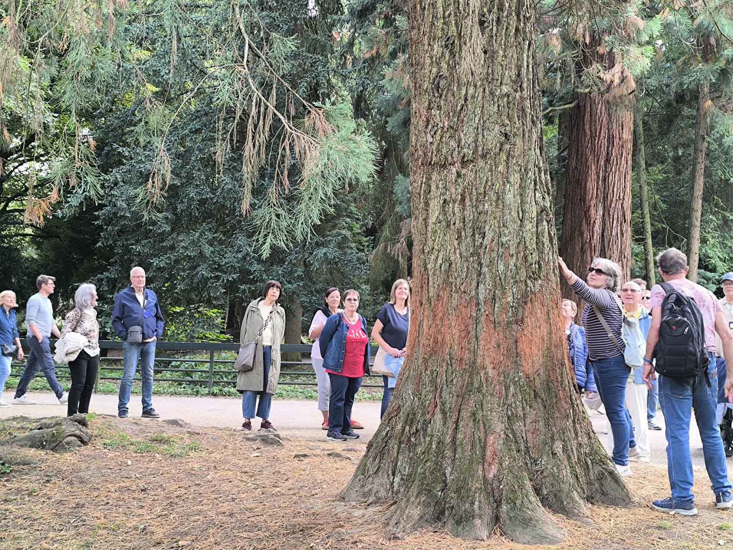 Der Gruga-Park war für die VdK-Mitglieder aus Werne eine Reise wert. Foto: privat